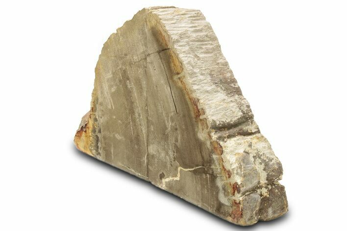 Petrified Wood (Tropical Hardwood) Bookends - Indonesia #275613